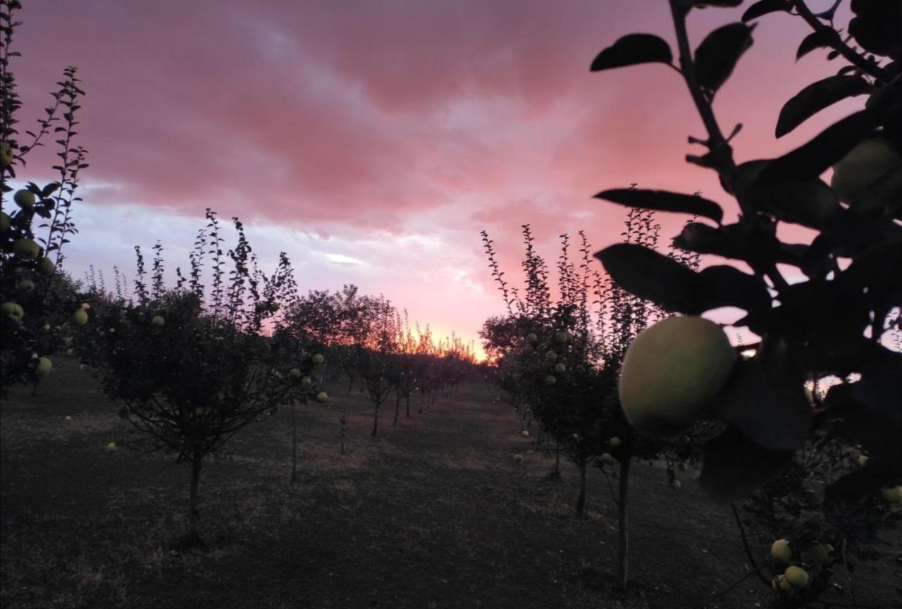 Salas Farma 47-Miris Dunja Cenej Exteriér fotografie