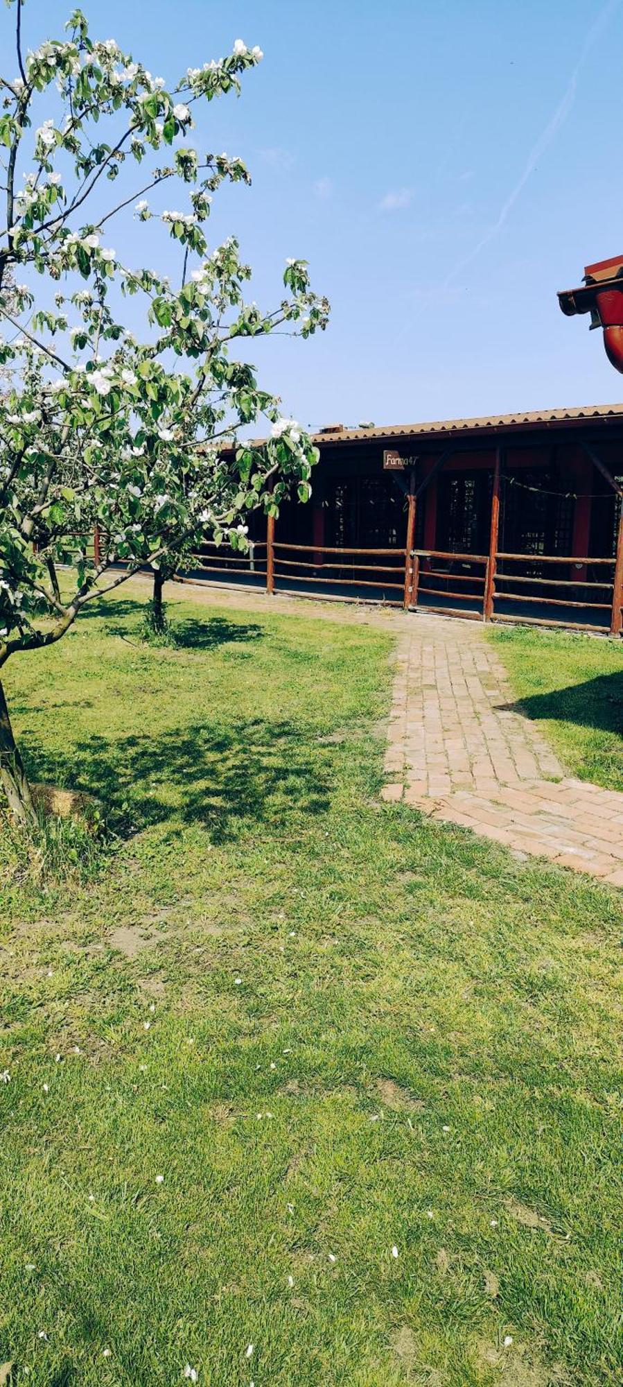 Salas Farma 47-Miris Dunja Cenej Exteriér fotografie