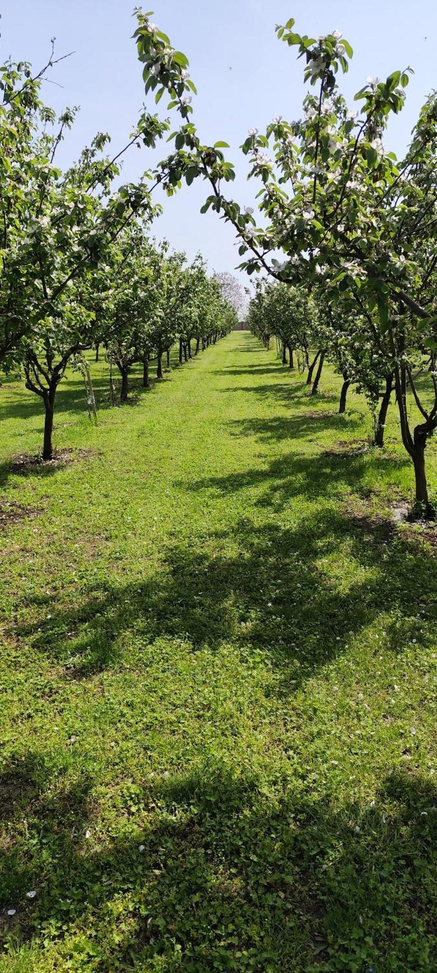 Salas Farma 47-Miris Dunja Cenej Exteriér fotografie