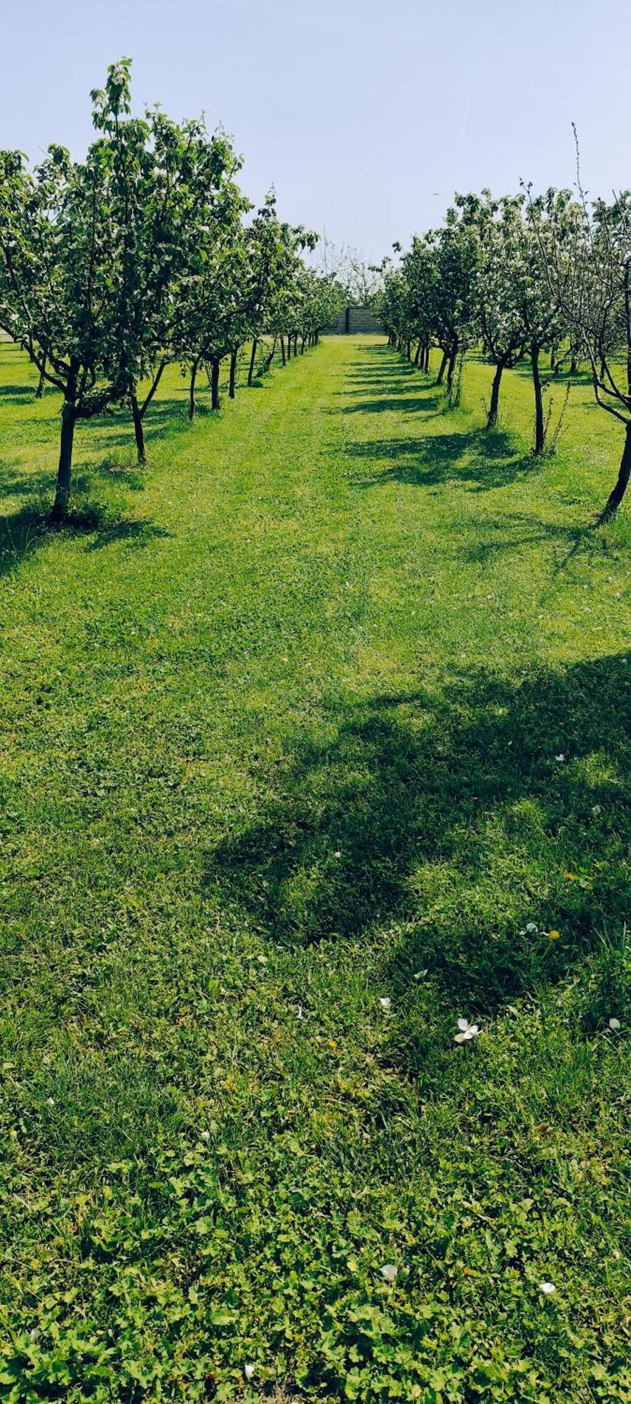 Salas Farma 47-Miris Dunja Cenej Exteriér fotografie