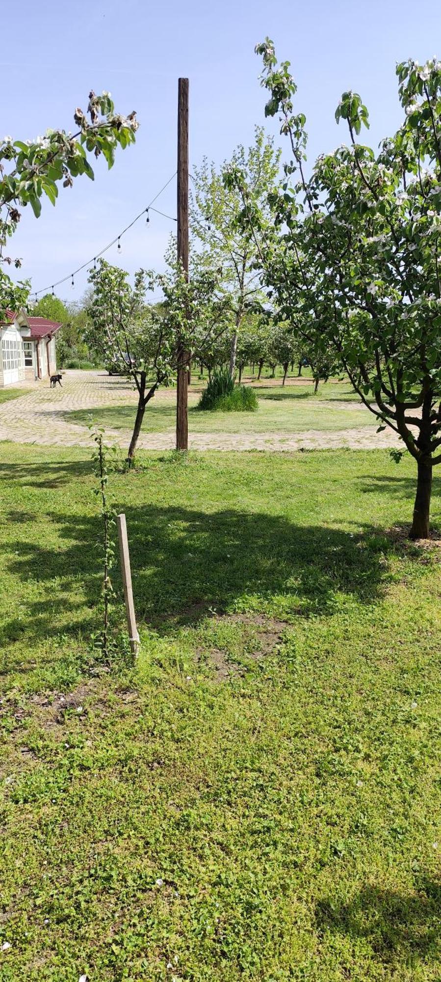 Salas Farma 47-Miris Dunja Cenej Exteriér fotografie