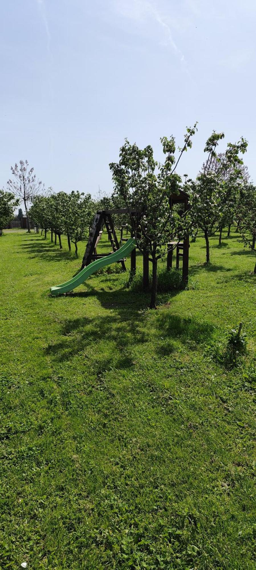 Salas Farma 47-Miris Dunja Cenej Exteriér fotografie