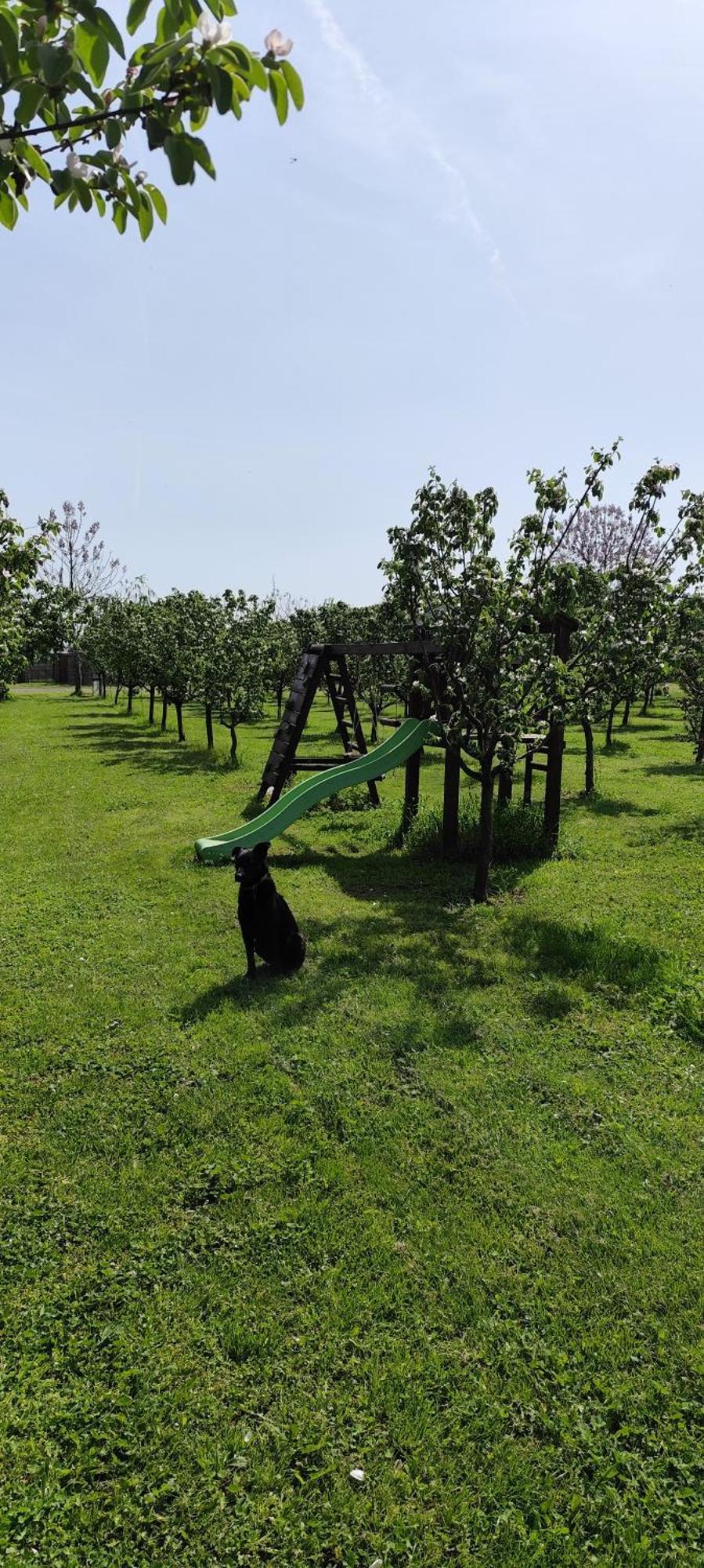 Salas Farma 47-Miris Dunja Cenej Exteriér fotografie
