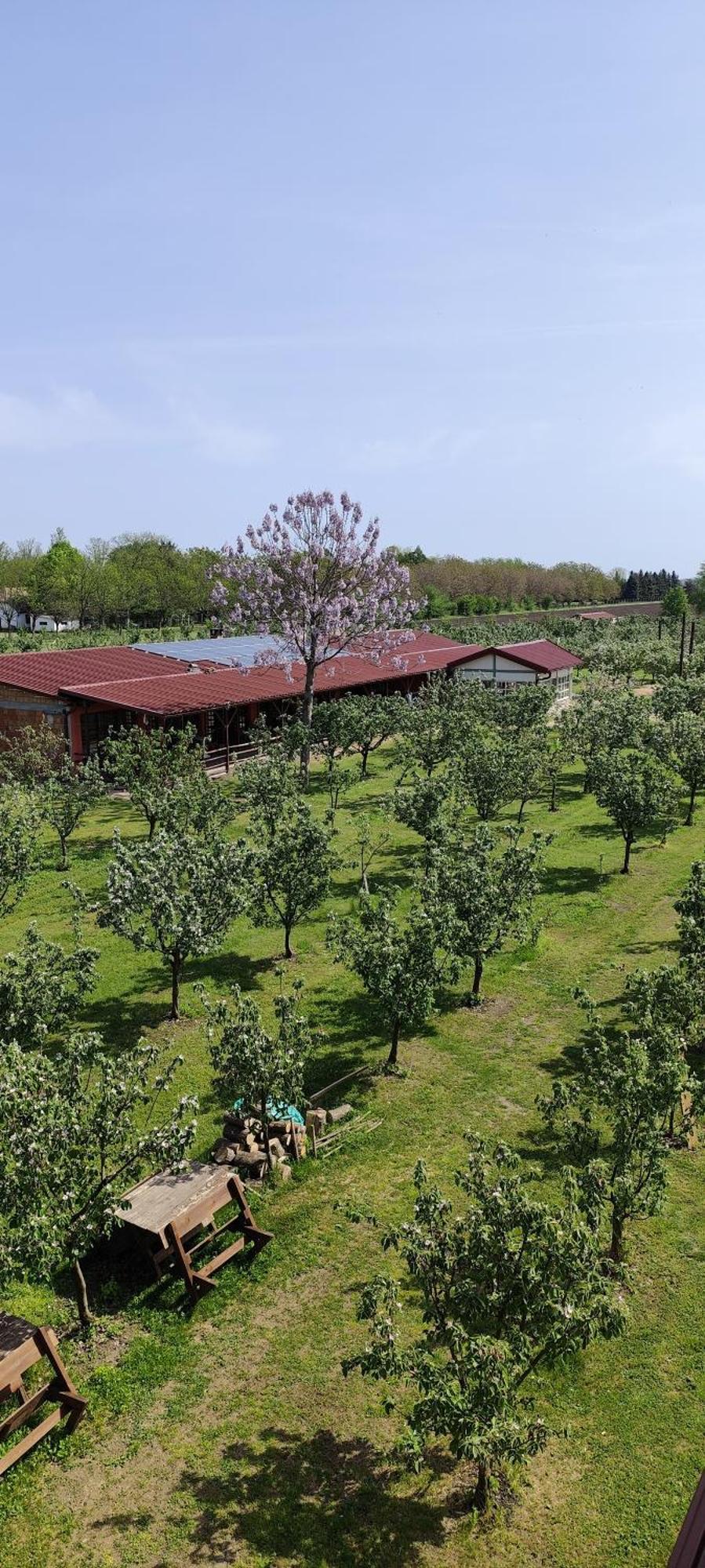 Salas Farma 47-Miris Dunja Cenej Exteriér fotografie