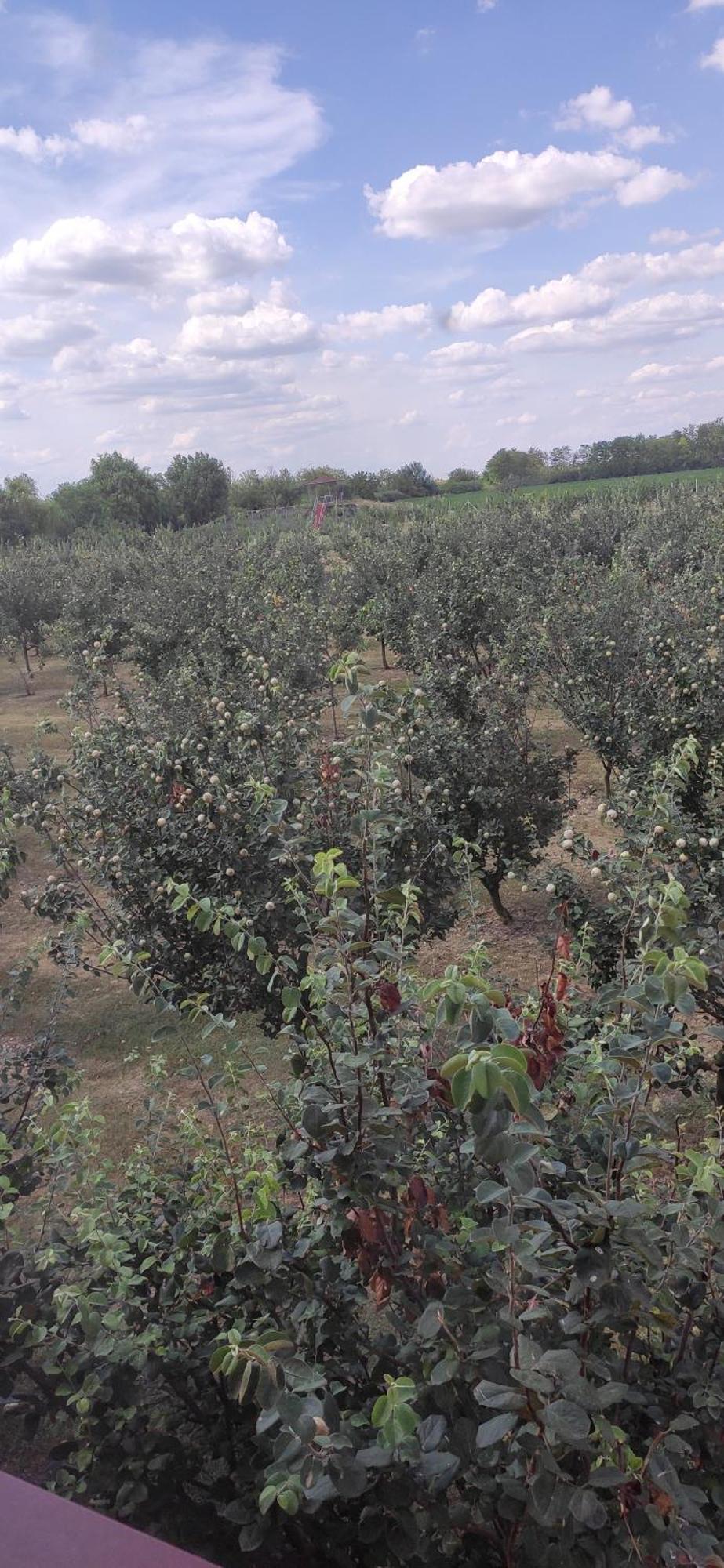 Salas Farma 47-Miris Dunja Cenej Exteriér fotografie